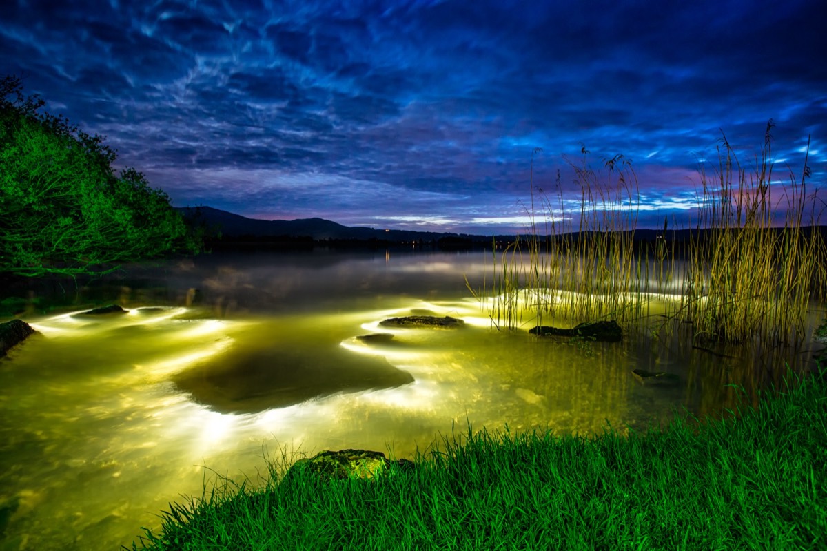 Freie Arbeit — Lake Monster